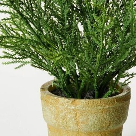 Studio McGee Small Potted Cypress - Threshold - Picture 3 of 7